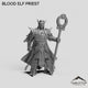 Blood Elf Priest