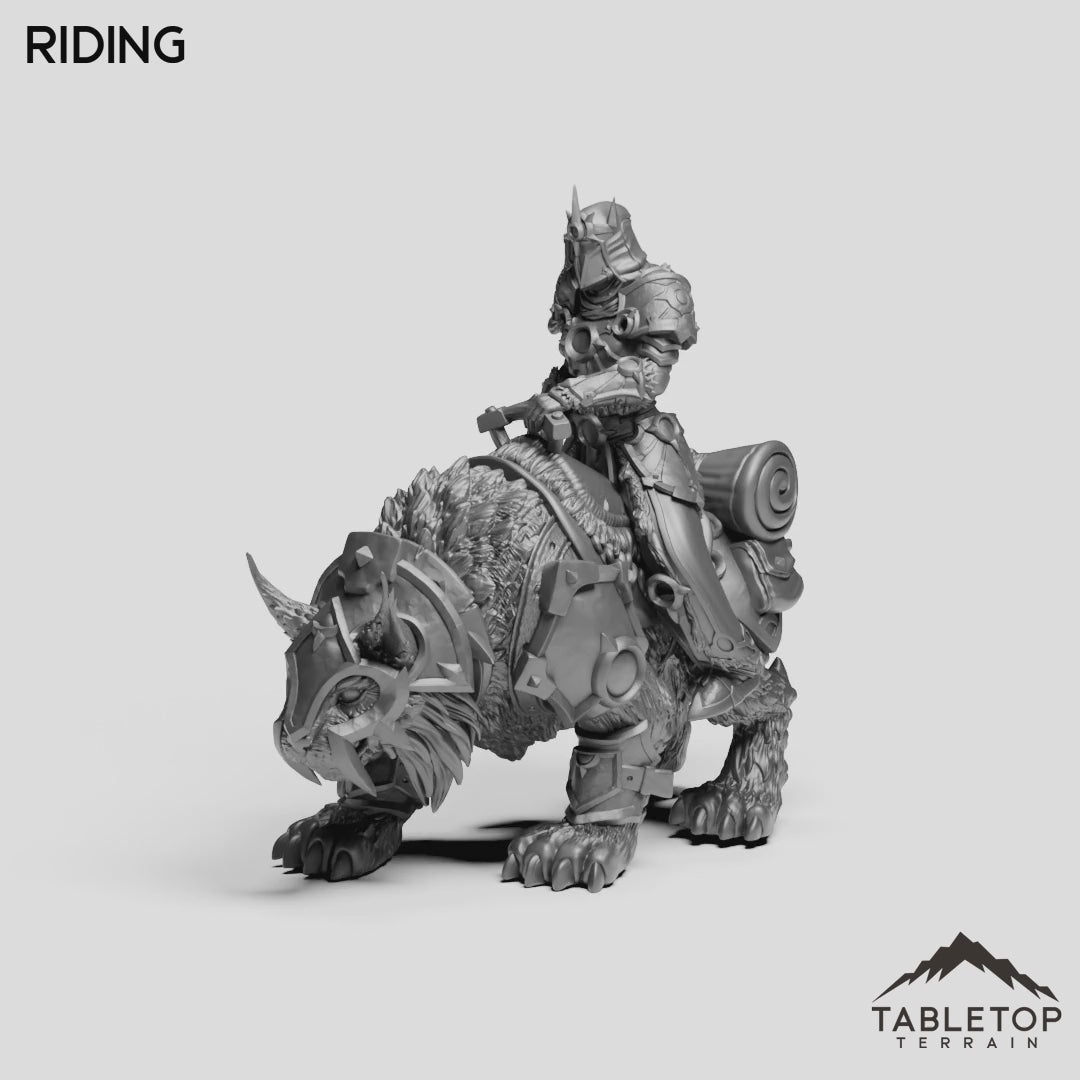 Riding