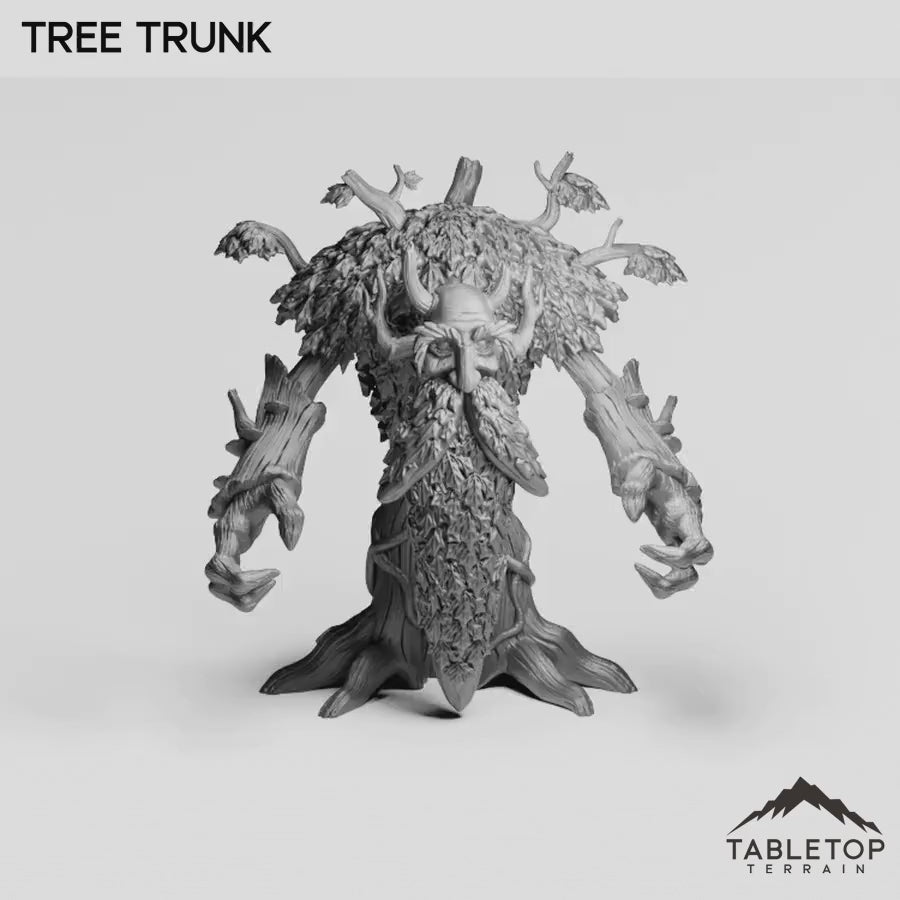 Tree Trunk