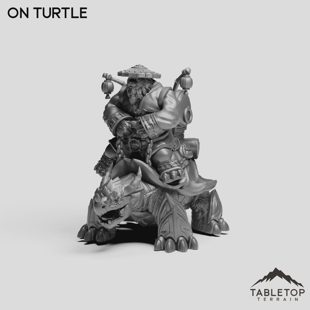 On Turtle