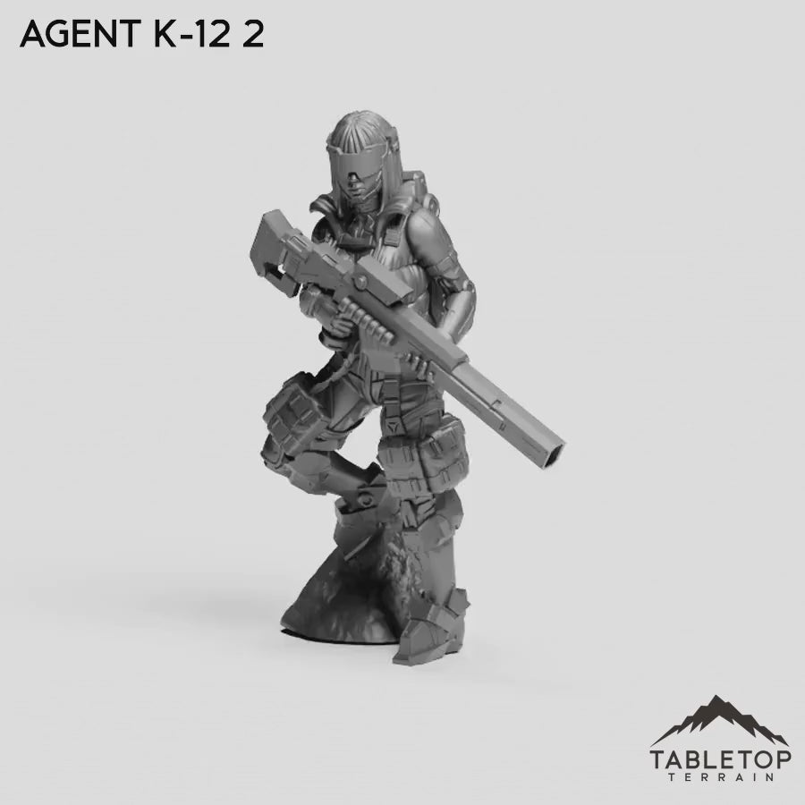 Agent K-12 2