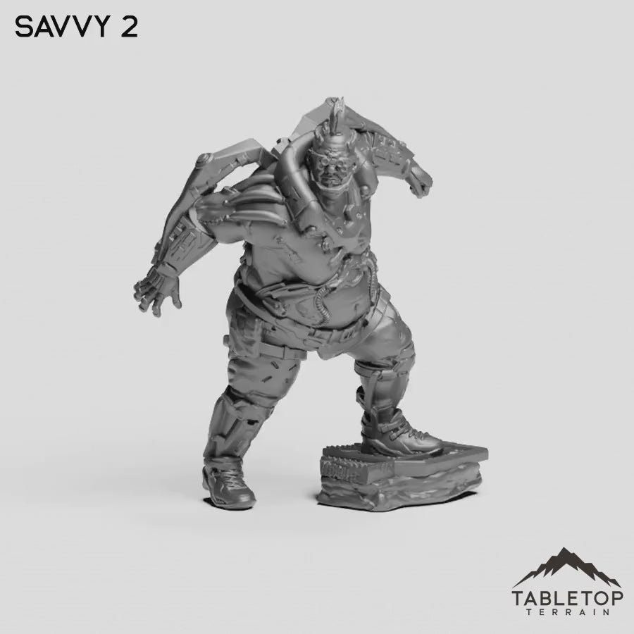 Savvy 2