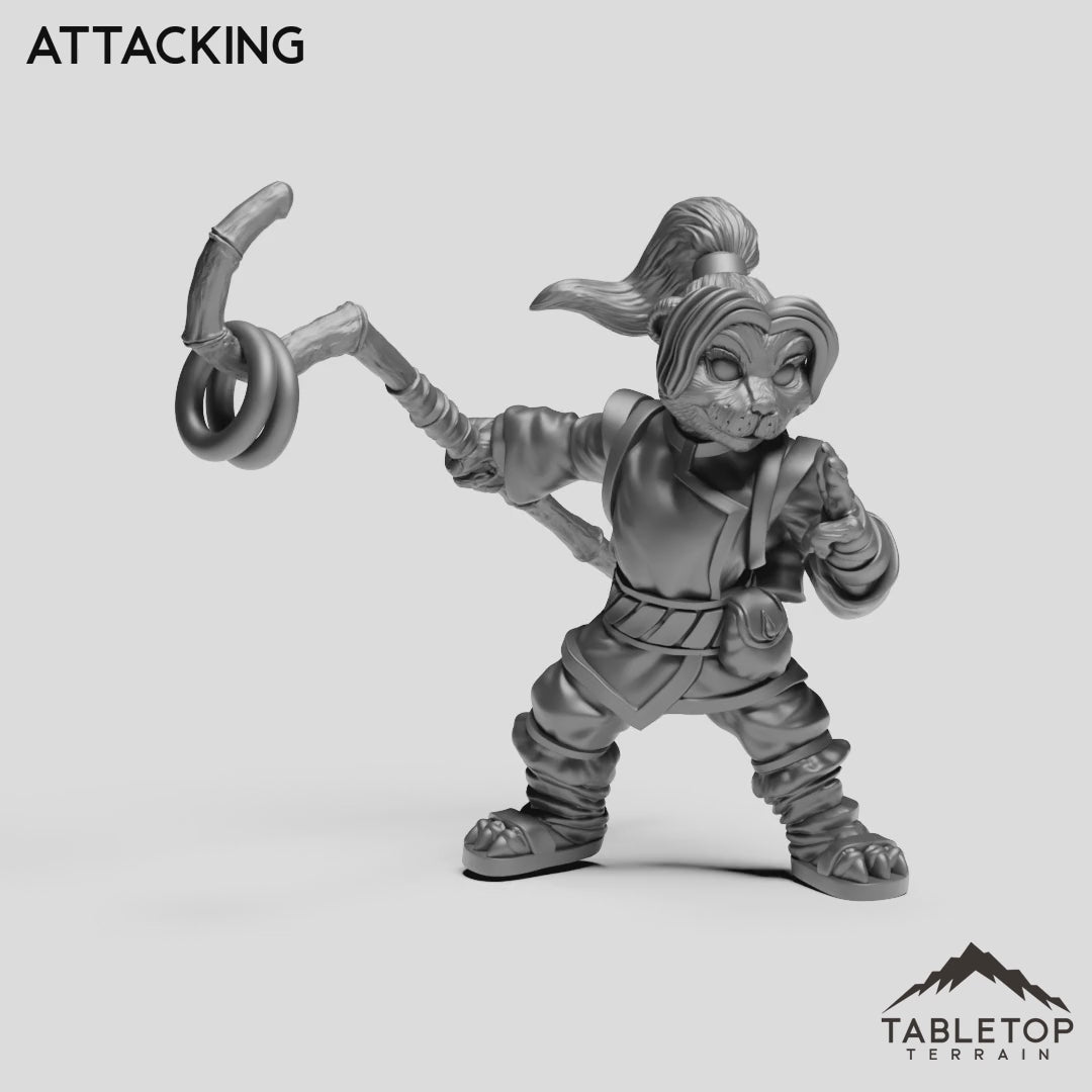 Attacking