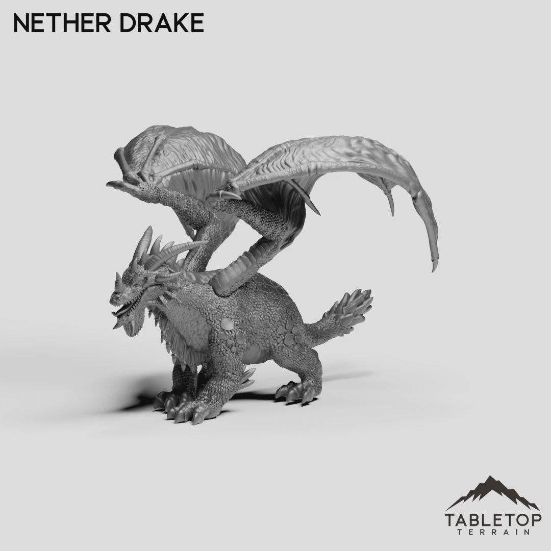 Nether Drake