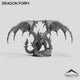 Dragon Form