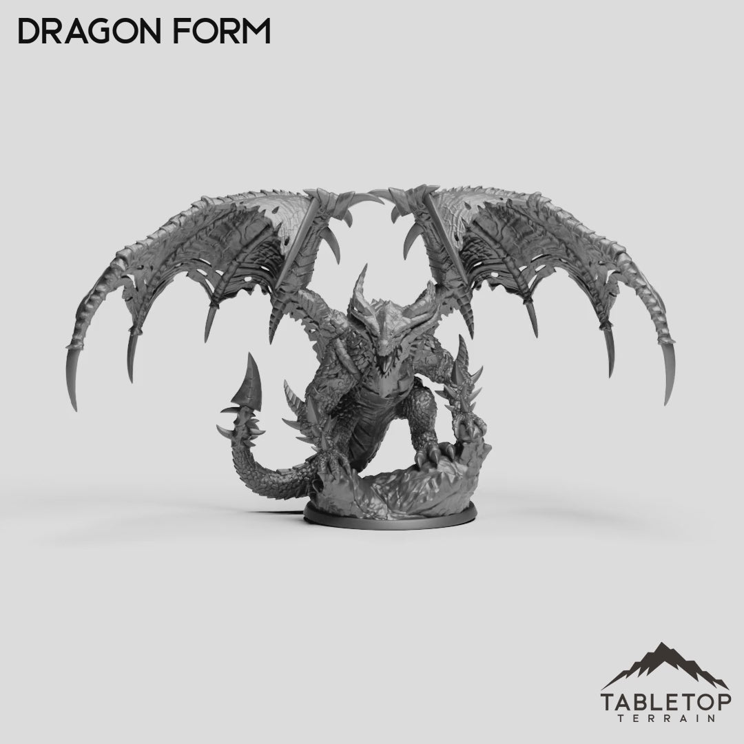 Dragon Form