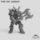 Pure Orc Warrior