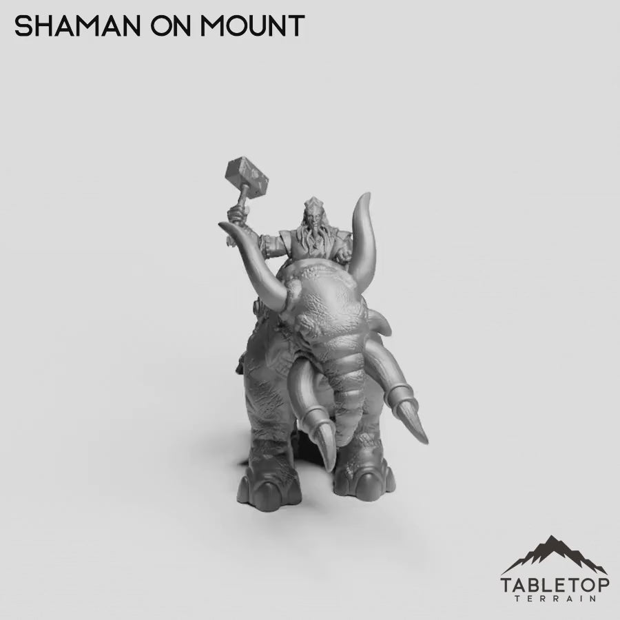 Shaman on Mount