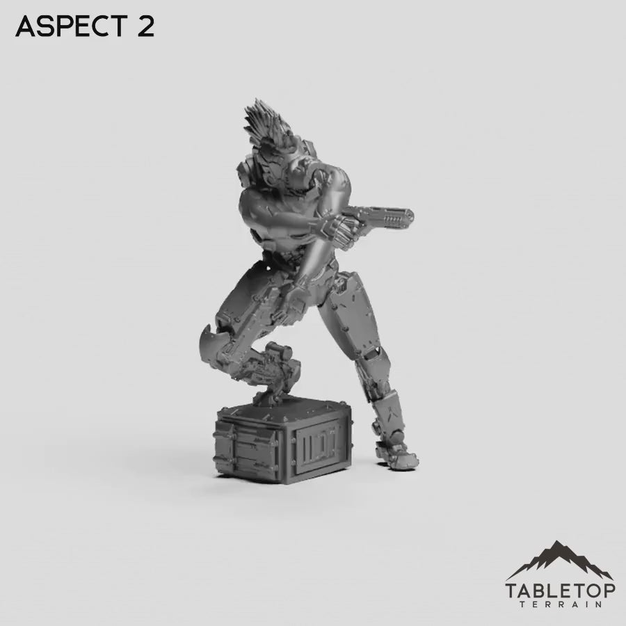 Aspect 2