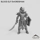 Blood Elf Swordsman