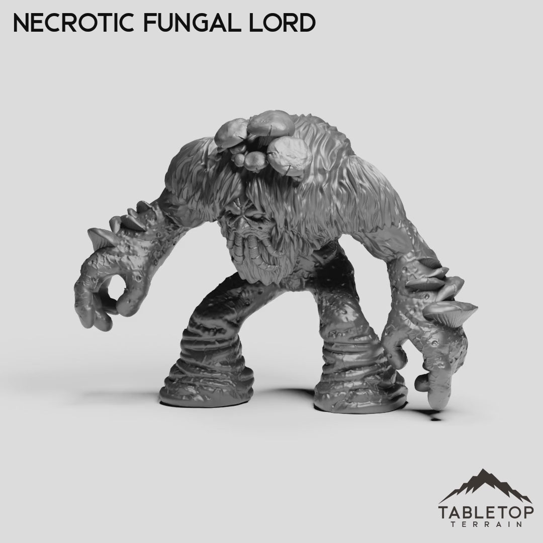 Necrotic Fungal Lord