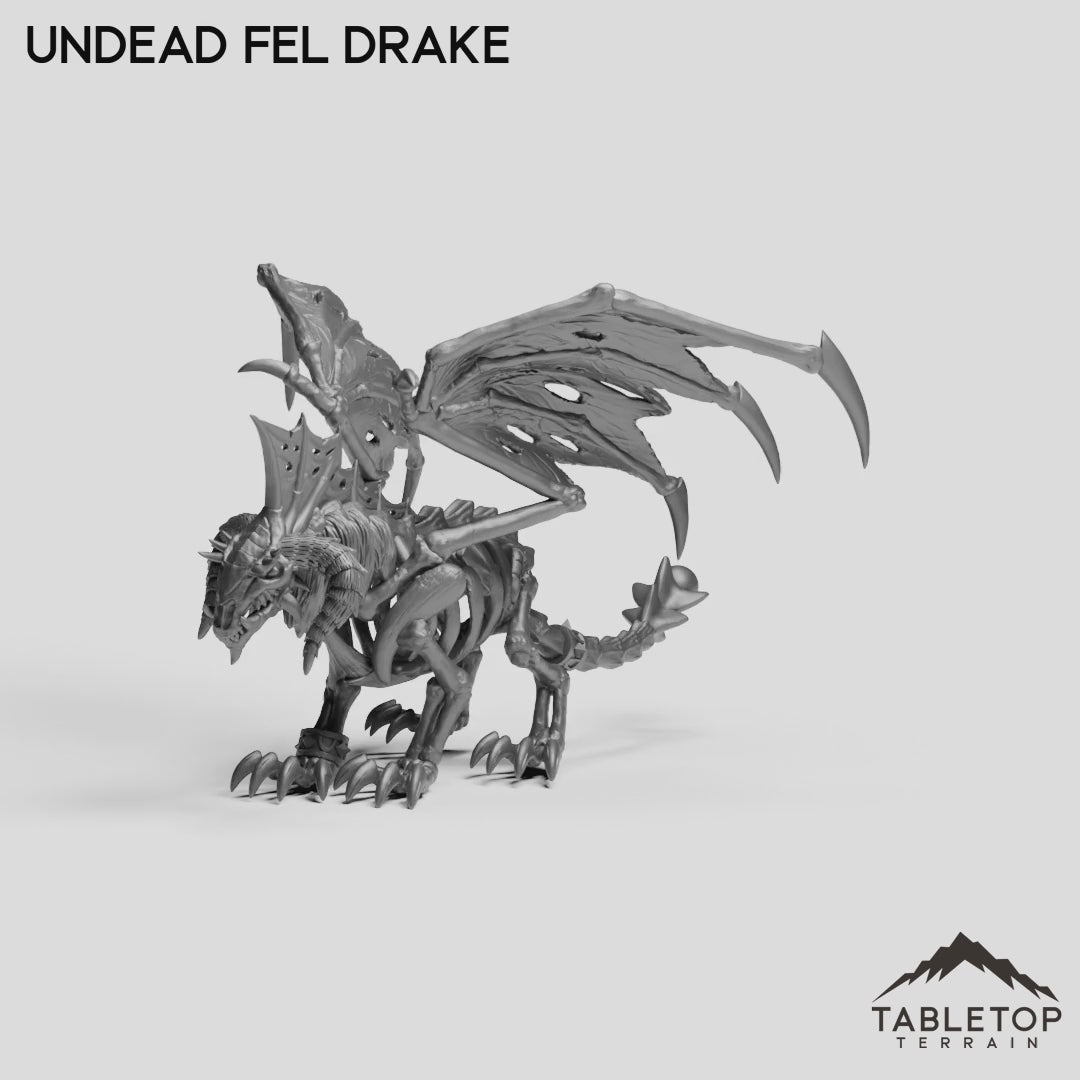 Undead Fel Drake