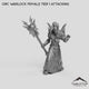 Orc Warlock Female Tier 1 Attacking