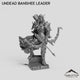 Undead Banshee Leader