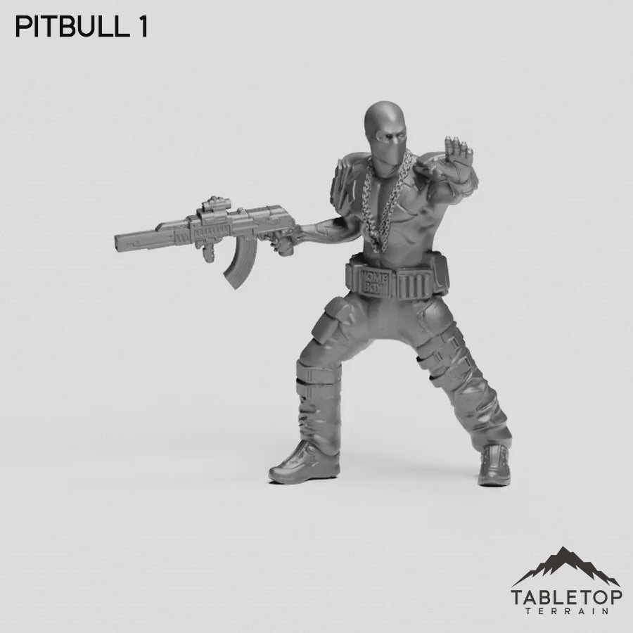 PitBull 1