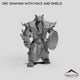 Orc Shaman with Mace and Shield