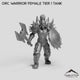 Orc Warrior Female Tier 1 Tank
