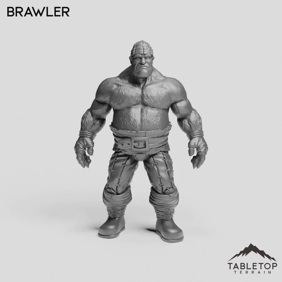 Brawler