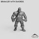 Brawler with Swords