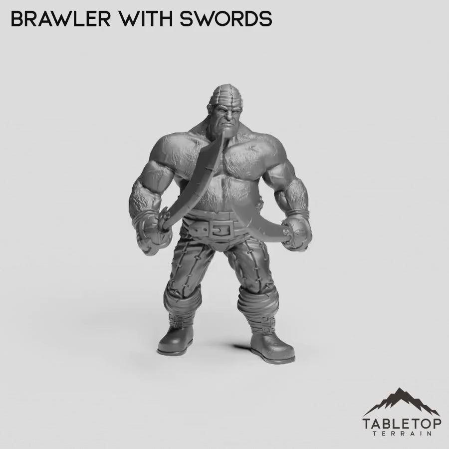Brawler with Swords