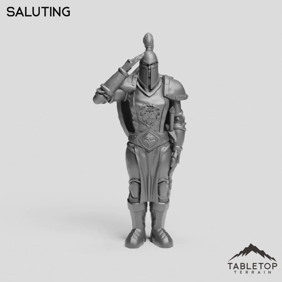 Saluting