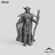 Druid