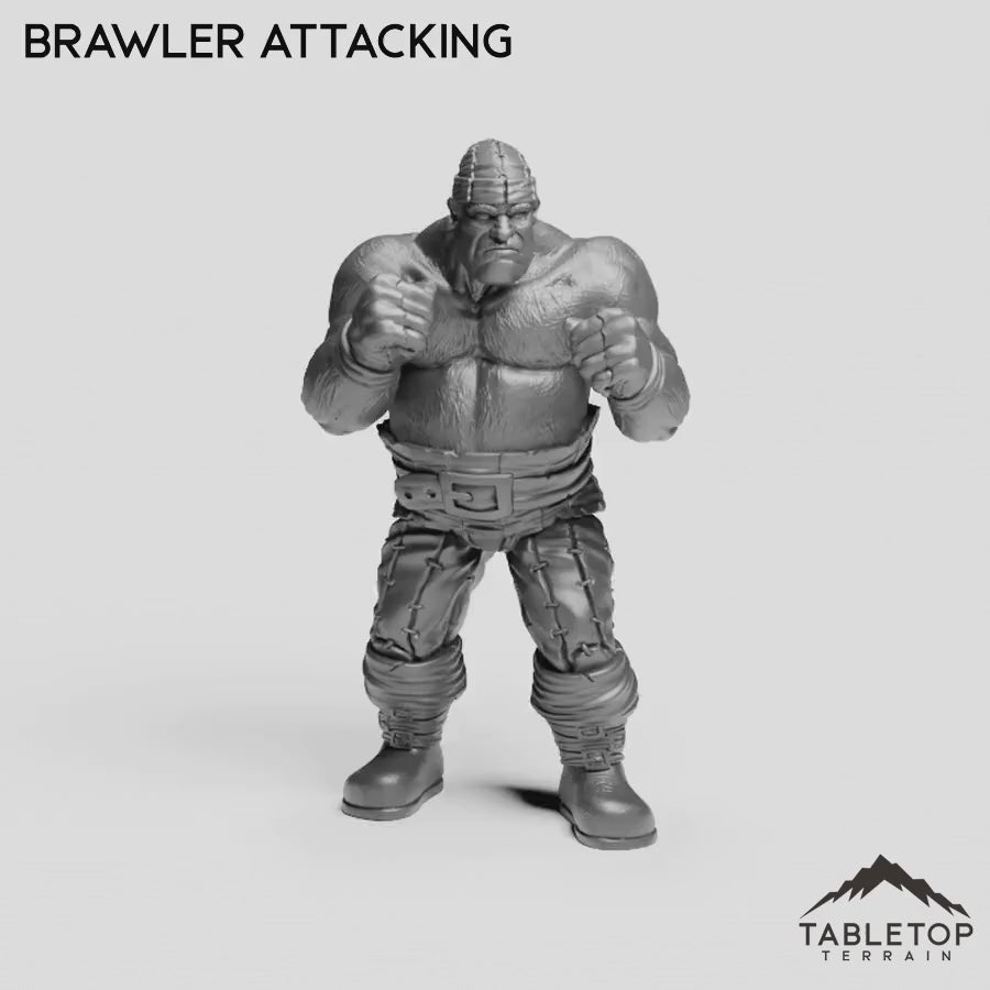Brawler Attacking