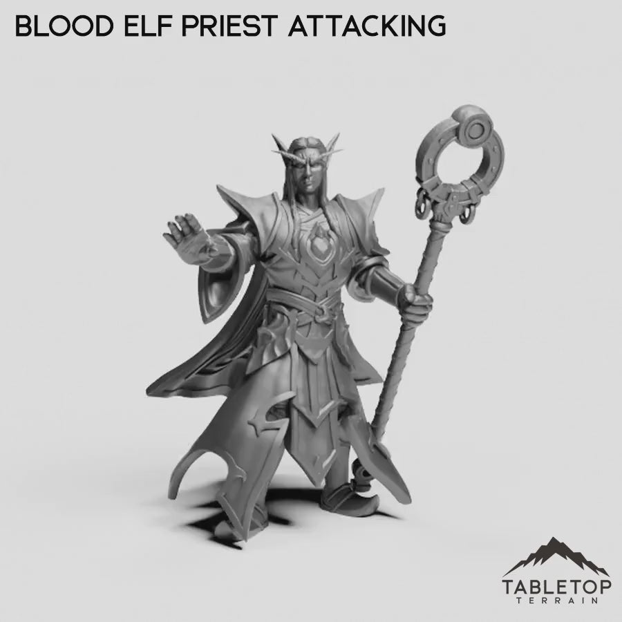 Blood Elf Priest Attacking
