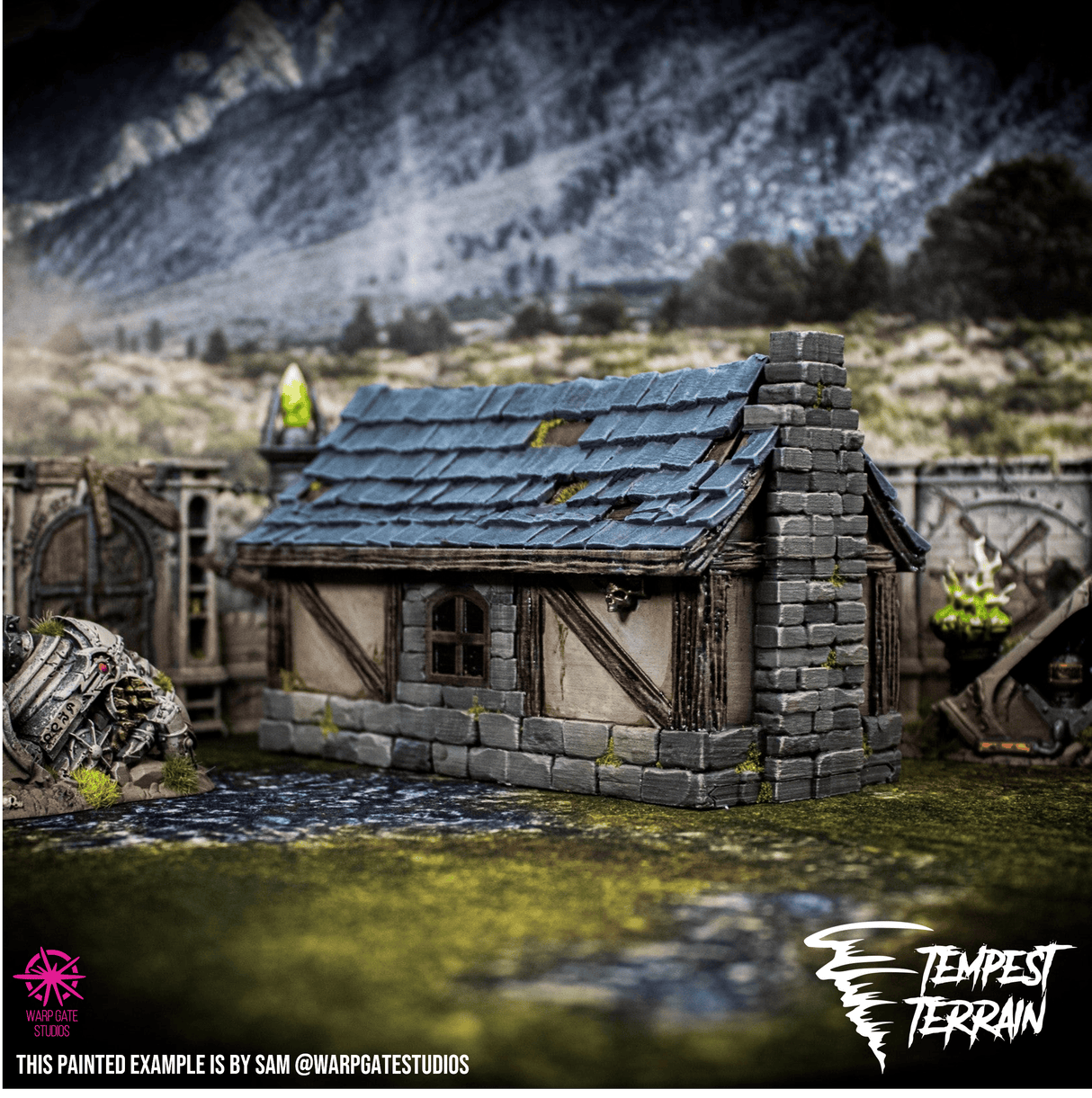 Tabletop Terrain Accessory Rapid Fire Dicebox - Fantasy Cottage