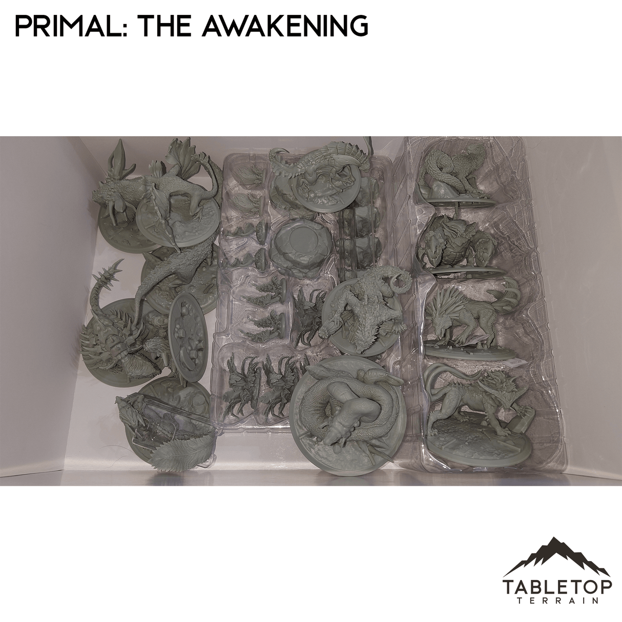 Tabletop Terrain Board Game Insert Primal: The Awakening Board Game Insert / Organizer