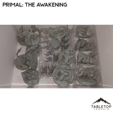 Tabletop Terrain Board Game Insert Primal: The Awakening Board Game Insert / Organizer