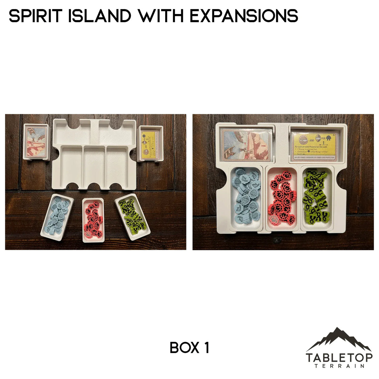 Tabletop Terrain Board Game Insert Spirit Island Organizer for Content Through Nature Incarnate Insert / Organizer