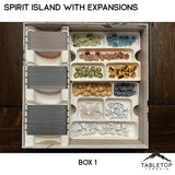 Tabletop Terrain Board Game Insert Spirit Island Organizer for Content Through Nature Incarnate Insert / Organizer
