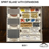 Tabletop Terrain Board Game Insert Spirit Island Organizer for Content Through Nature Incarnate Insert / Organizer