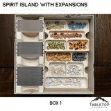 Tabletop Terrain Board Game Insert Spirit Island Organizer with all Expansions through Nature Incarnate Board Game Insert / Organizer