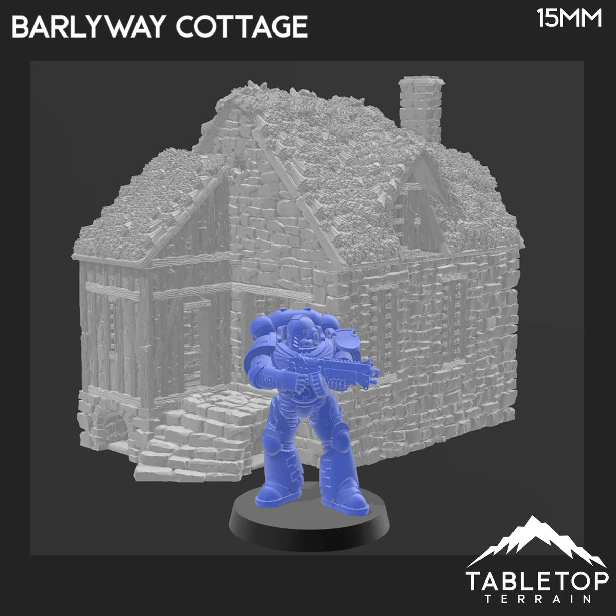 Tabletop Terrain Building Barlyway Cottage - Country & King - Fantasy Historical Building