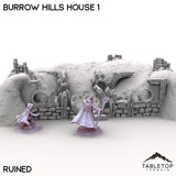 Tabletop Terrain Building Burrow Hills House 1