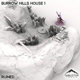 Tabletop Terrain Building Burrow Hills House 1