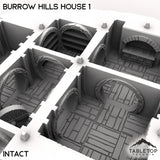 Tabletop Terrain Building Burrow Hills House 1