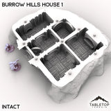 Tabletop Terrain Building Burrow Hills House 1