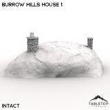 Tabletop Terrain Building Burrow Hills House 1