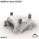 Tabletop Terrain Building Burrow Hills House 1