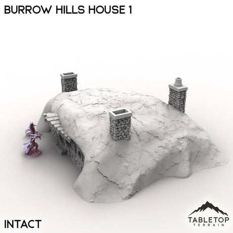 Tabletop Terrain Building Burrow Hills House 1