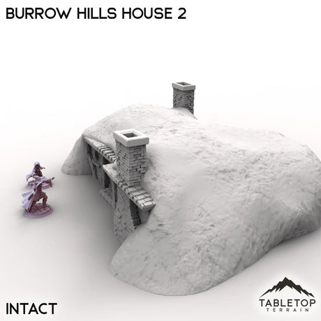 Tabletop Terrain Building Burrow Hills House 2