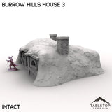 Tabletop Terrain Building Burrow Hills House 3