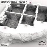 Tabletop Terrain Building Burrow Hills House 4