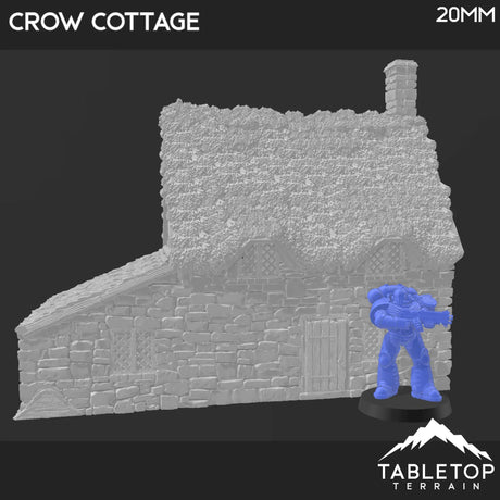 Tabletop Terrain Building Crow Cottage - Country & King - Fantasy Historical Building