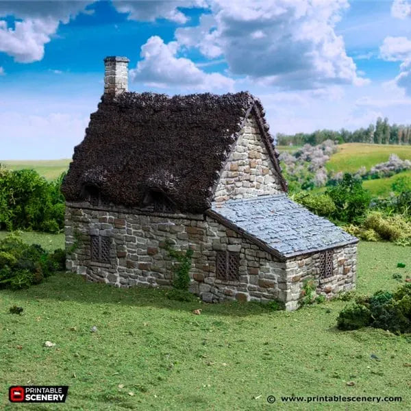 Tabletop Terrain Building Crow Cottage - Country & King - Fantasy Historical Building