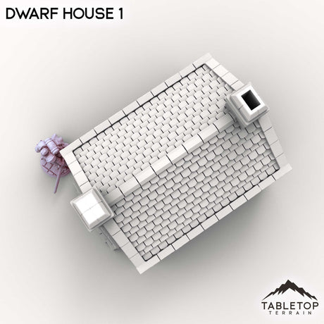 Tabletop Terrain Building Dwarf House 1