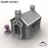 Tabletop Terrain Building Dwarf House 1